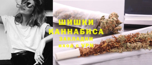 стафф Коряжма