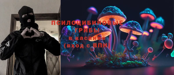 стафф Коряжма