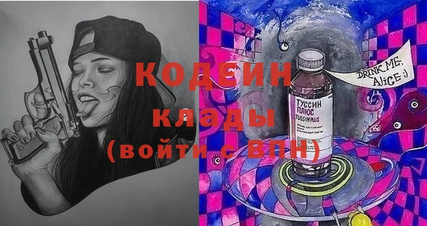 дмт Костерёво
