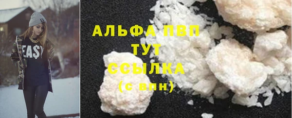 дмт Костерёво