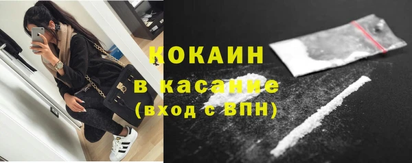 стафф Коряжма