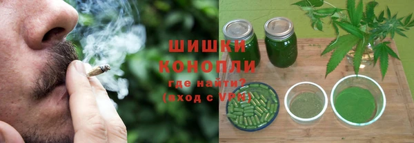 стафф Коряжма