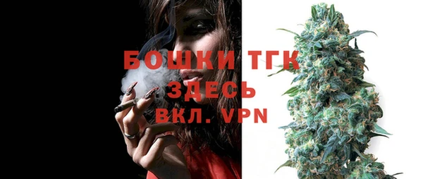 дмт Костерёво