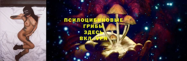 дмт Костерёво